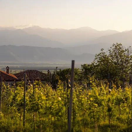 Schuchmann Wines Chateau,Villas & Spa Telavi Exterior photo