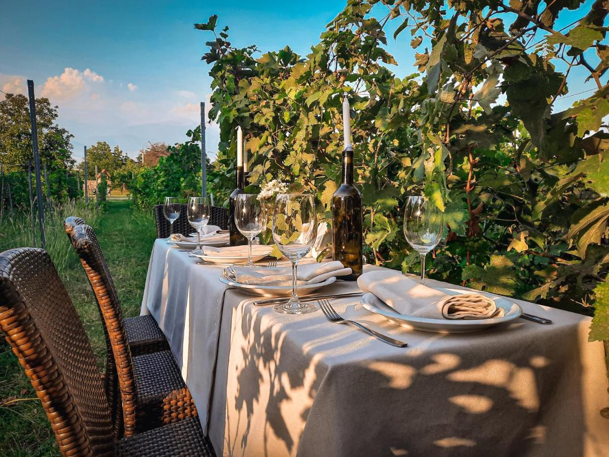 Schuchmann Wines Château,villas&spa * Telawi
