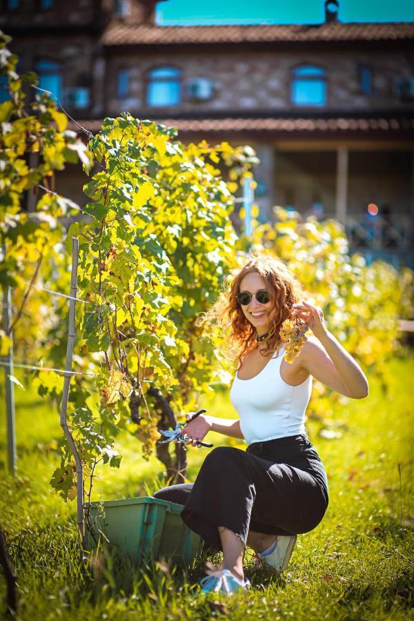 Schuchmann Wines Château,villas&spa *